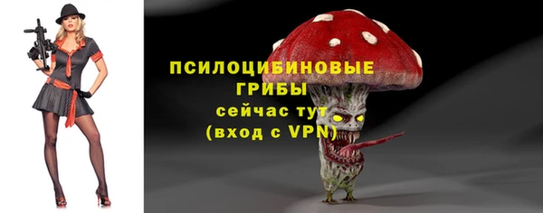 ешки Арсеньев