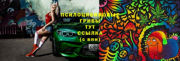 ешки Арсеньев