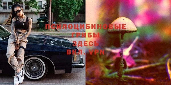 спиды Армянск