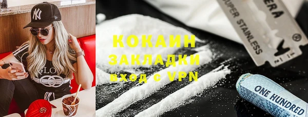 ГАЛЛЮЦИНОГЕННЫЕ ГРИБЫ Рославль