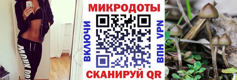 закладка  Бокситогорск  Псилоцибиновые грибы мухоморы 